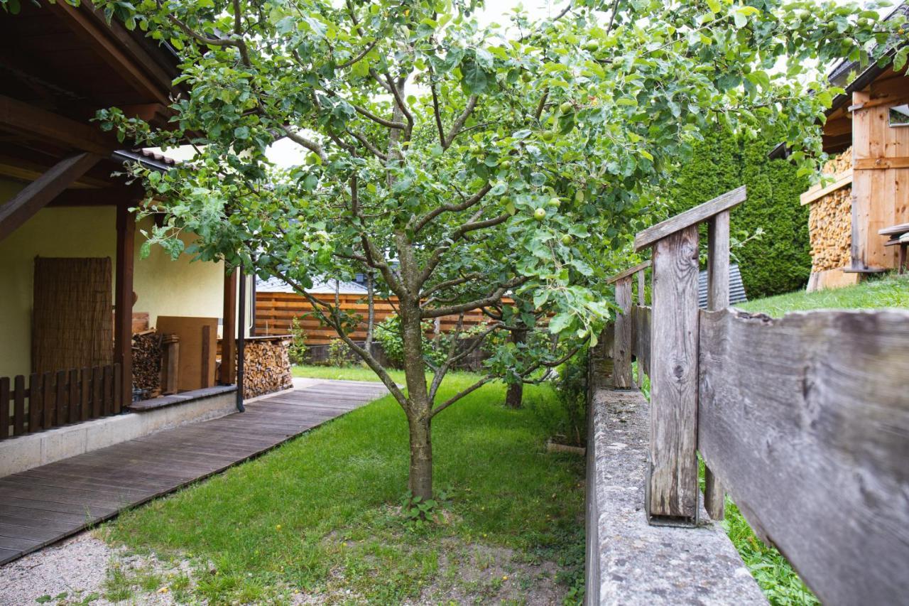 וויסינג Ferienhaus Schiestl מראה חיצוני תמונה